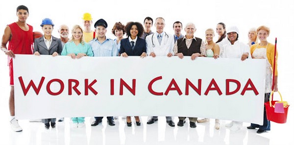 Điều kiện đi xuất khẩu lao động ở Canada là gì