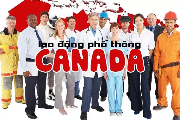 Hiện trạng thị trường xuất khẩu lao động tại Canada